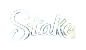 Social Casino Stake logo
